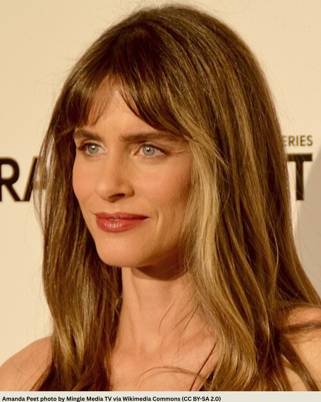 Amanda Peet